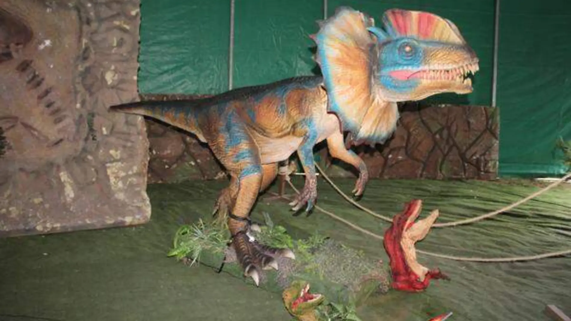 dinosaurios (4)